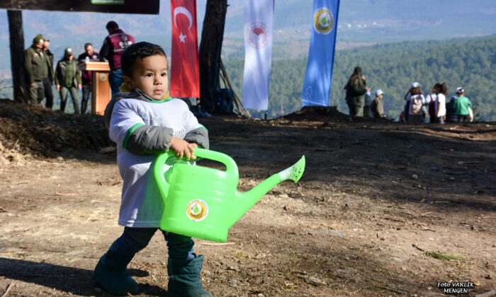 Günün Fotoğrafı – 11.11.2025