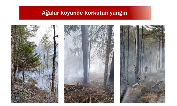 Ağalar köyünde meydana gelen orman yangını korkuttu