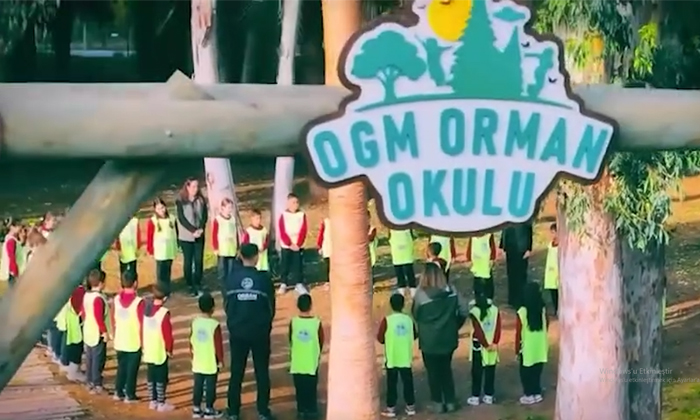 Bolu’da Orman Okulu Açılıyor: Çocuklar Doğayla İç İçe Eğitim Alacak