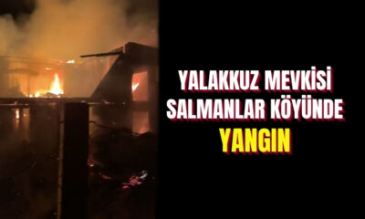 Yalakkuz mevkisi Salmanlar köyünde yangın