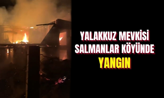 Yalakkuz mevkisi Salmanlar köyünde yangın