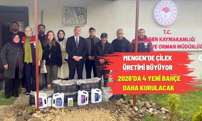Mengen’de Çilek Üretimi Büyüyor: 2026’da 4 Yeni Bahçe Daha Kurulacak