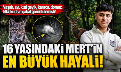 Mengen’de vaşak, ayı, kızıl geyik, karaca, domuz, tilki, kurt ve çakal görüntülemişti! En büyük hayalini açıkladı