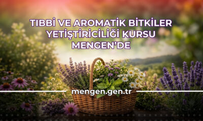 Tıbbi ve Aromatik Bitkiler Yetiştiriciliği Kursu ​Mengen’de