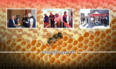 Mengen YEG’den Hem Eğitim Hem Şenlik: Arıcılar Bir Araya Geldi