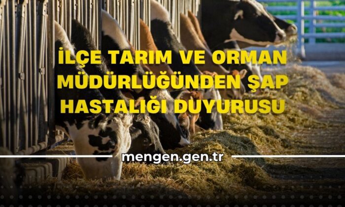 İlçe Tarım ve Orman Müdürlüğünden Şap Hastalığı Duyurusu