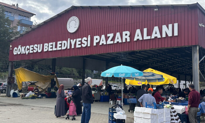 Gökçesu Pazarından Canlı Yayın (20 Ekim 2026)